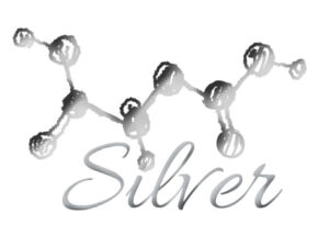 Silver safe logo